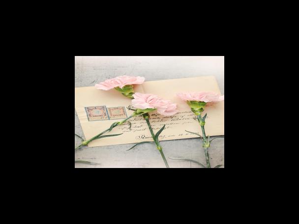 전송 중에도 파일 보안
