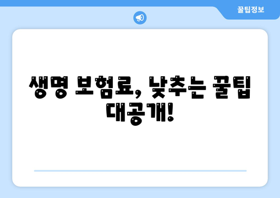 생명 보험 가격