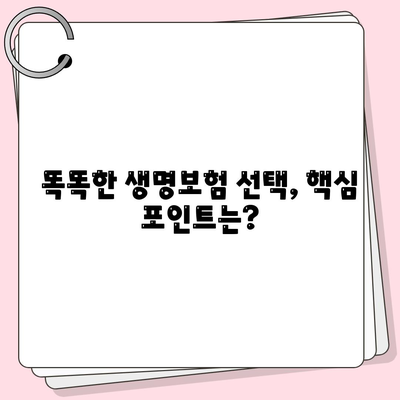 생명 보험 추천