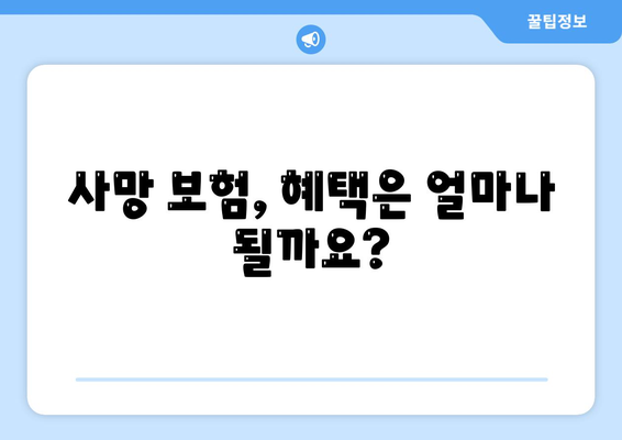 사망 보험 혜택