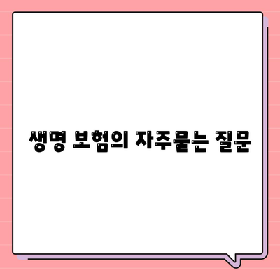 생명 보험