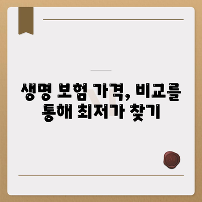 생명 보험 가격