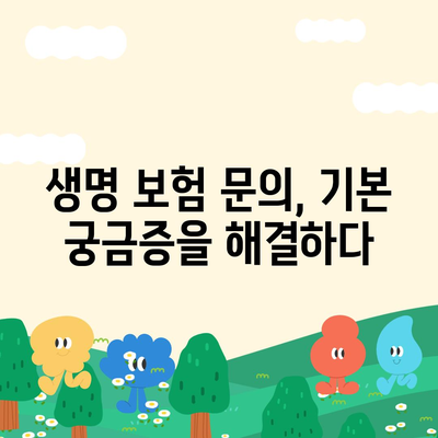 생명 보험 문의