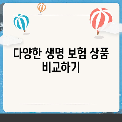 생명 보험 가이드