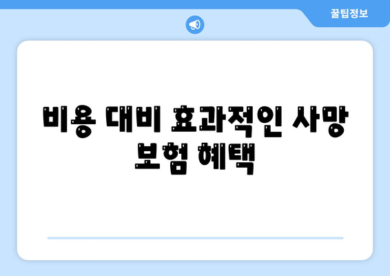 사망 보험 상담