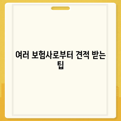 다이렉트 자동차 보험 비교 체크리스트