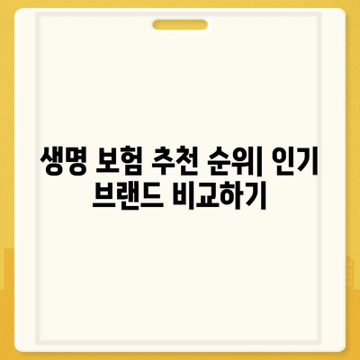 생명 보험 추천 순위