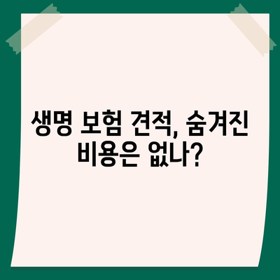 생명 보험 견적
