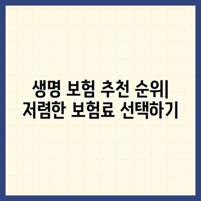 생명 보험 추천 순위