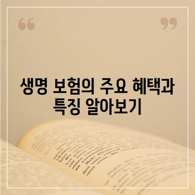 생명 보험 추천 순위