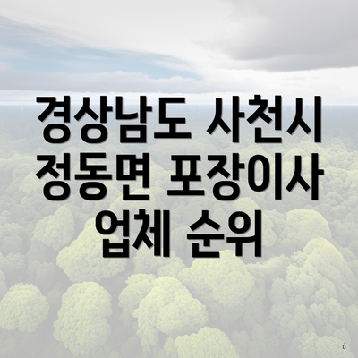 경상남도 사천시 정동면 포장이사 업체 순위