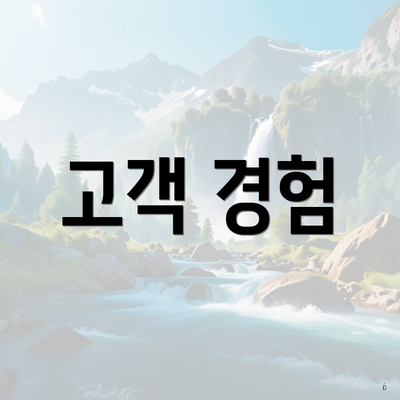 고객 경험