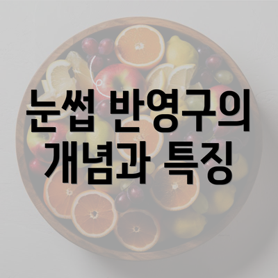 눈썹 반영구의 개념과 특징