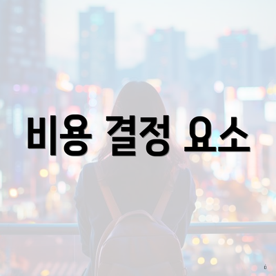 비용 결정 요소