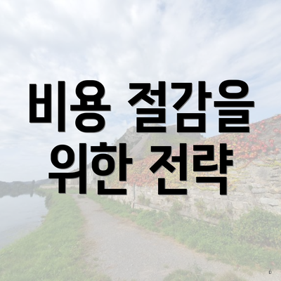 비용 절감을 위한 전략