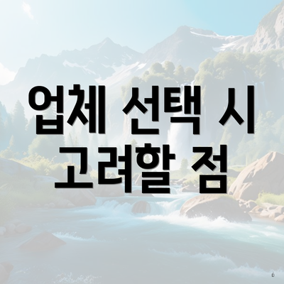 업체 선택 시 고려할 점