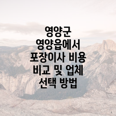 영양군 영양읍에서 포장이사 비용 비교 및 업체 선택 방법