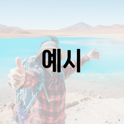 예시