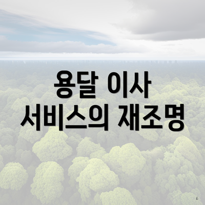 용달 이사 서비스의 재조명