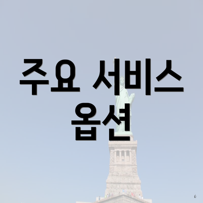 주요 서비스 옵션