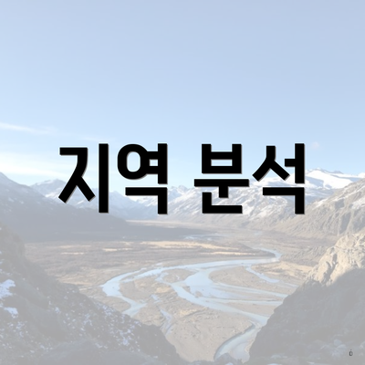 지역 분석