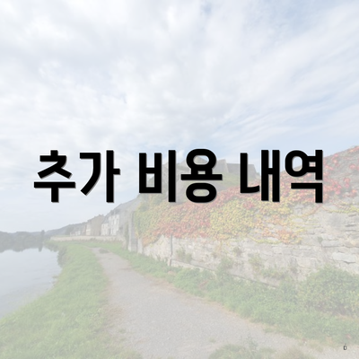 추가 비용 내역