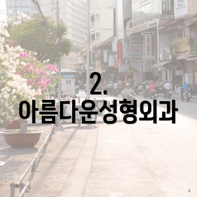 2. 아름다운성형외과