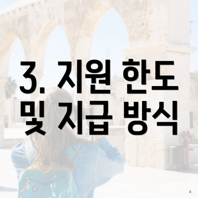 3. 지원 한도 및 지급 방식