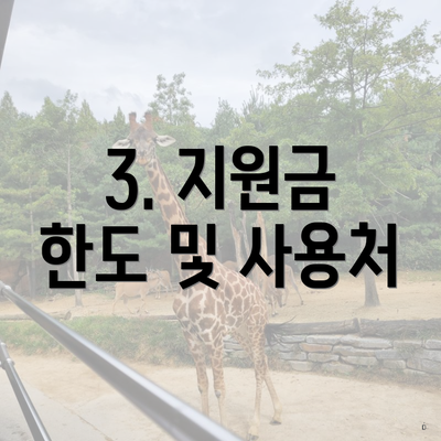 3. 지원금 한도 및 사용처