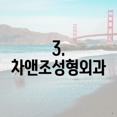 3. 차앤조성형외과