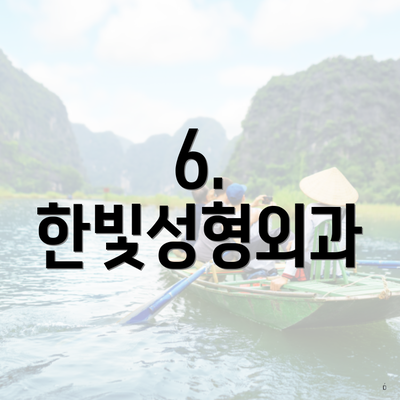 6. 한빛성형외과