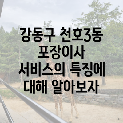 강동구 천호3동 포장이사 서비스의 특징에 대해 알아보자