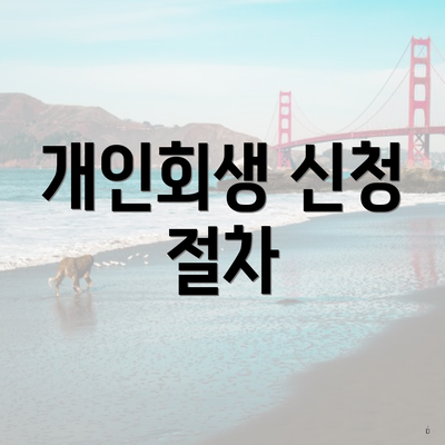 개인회생 신청 절차