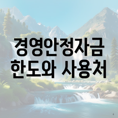 경영안정자금 한도와 사용처