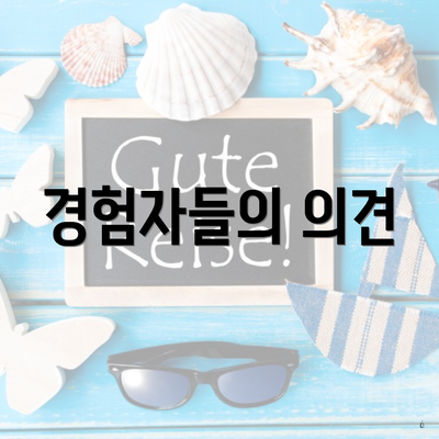 경험자들의 의견