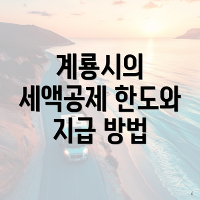 계룡시의 세액공제 한도와 지급 방법