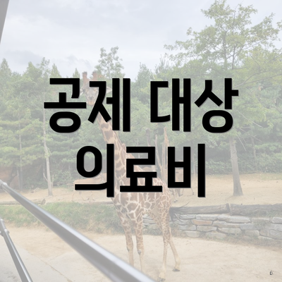 공제 대상 의료비