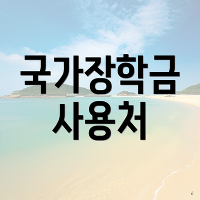 국가장학금 사용처