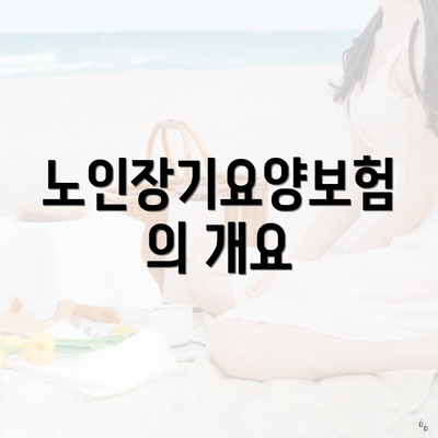 노인장기요양보험의 개요