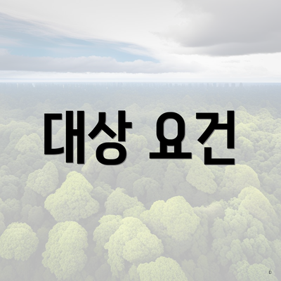 대상 요건