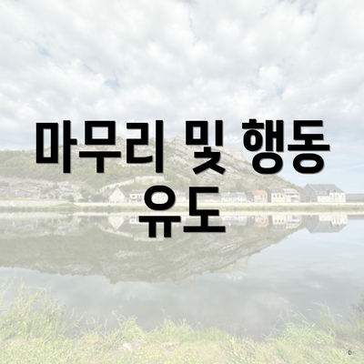 마무리 및 행동 유도