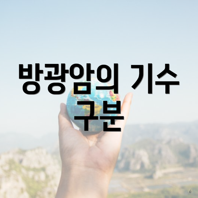 방광암의 기수 구분