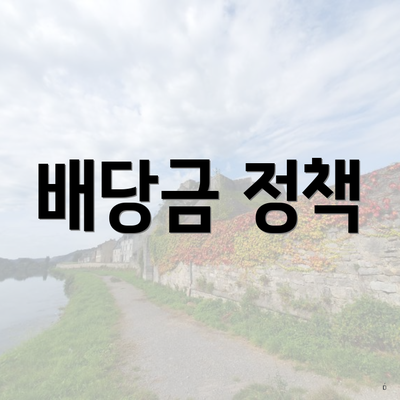 배당금 정책