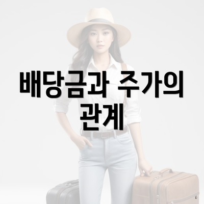 배당금과 주가의 관계