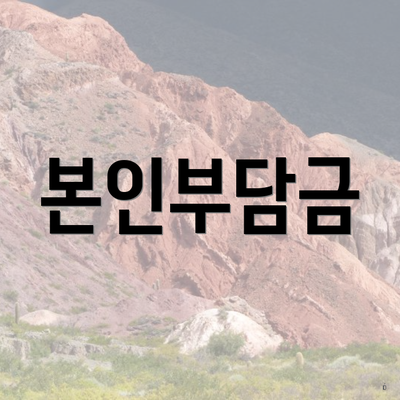 본인부담금
