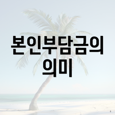 본인부담금의 의미