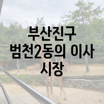 부산진구 범천2동의 이사 시장