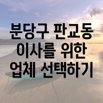 분당구 판교동 이사를 위한 업체 선택하기