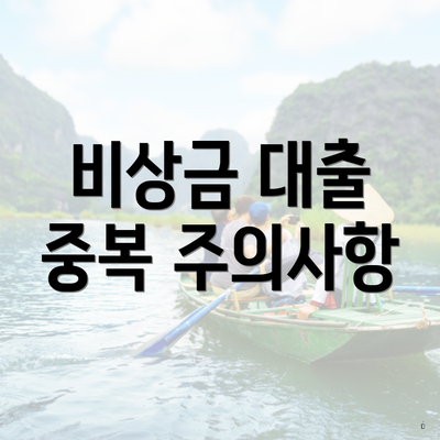 비상금 대출 중복 주의사항