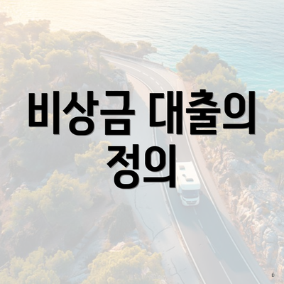 비상금 대출의 정의